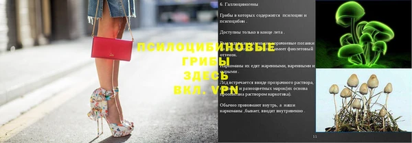 прущая мука Зеленокумск