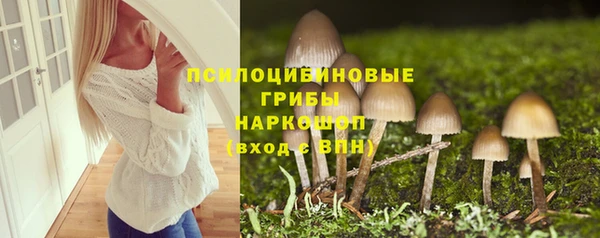 тгк Зеленодольск